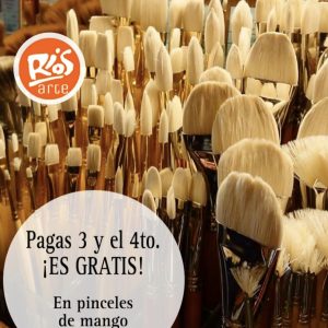 Oferta- Pincel de mango largo suelto