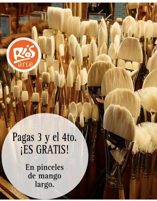 Oferta- Pincel de mango largo suelto